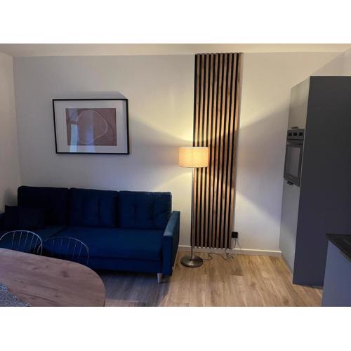 W Izerach - Apartament Superior