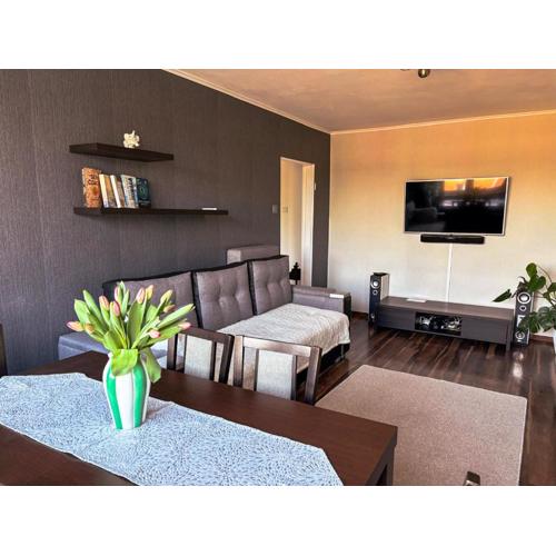 Wałcz Homely Apartment