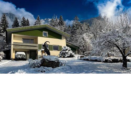 Waldchalet Steinbock