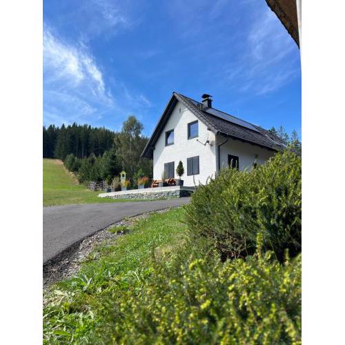 Waldheimatblick