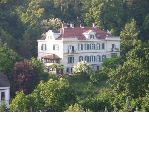 Waldpension Mück