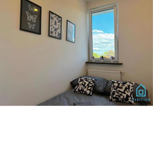 Waza Room