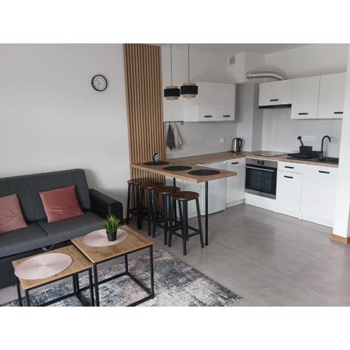 Wczasy Chmielno Apartament PUDROWY