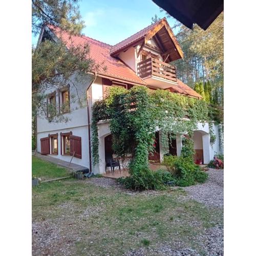 Wczasy na Kaszubach, balia, sauna, jezioro