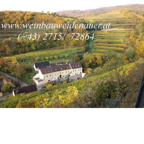 Weinbau Weidenauer