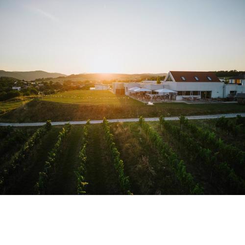 WEINBLICK & WEINGUT Grafinger
