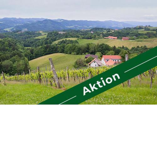 Weingut - Gästezimmer Resch Ludwig vlg. Powoden