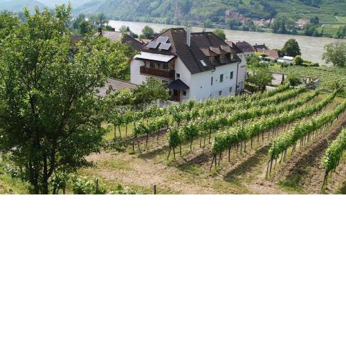 Weingut & Gästezimmer Pammer