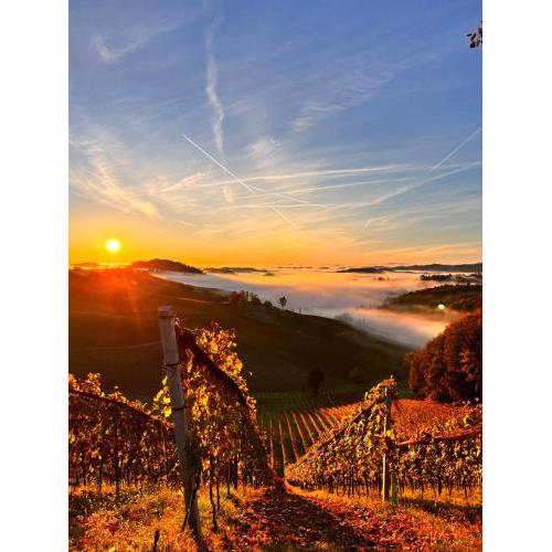 Weingut & Gästezimmer Weißenbacher