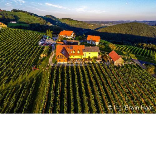 Weingut Reiterer