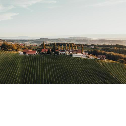 Weinquartier Pichler-Schober