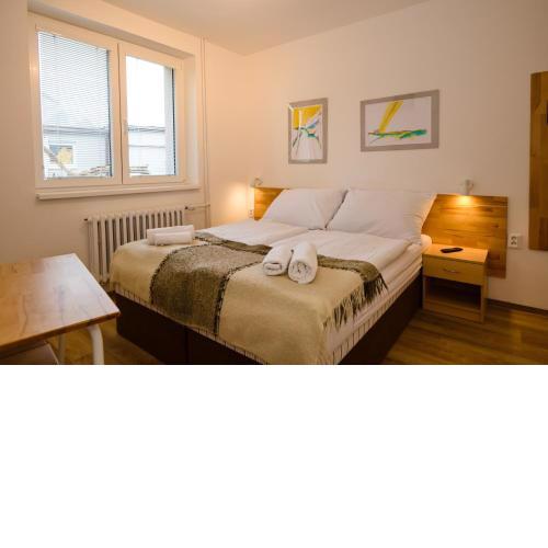 Wellness Vila Bohemia
