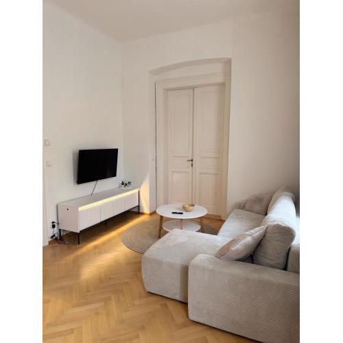 Wenceslas Square Bright Apartment