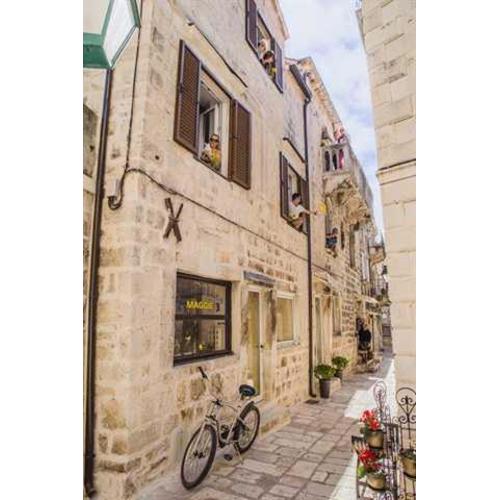 White Rabbit Hostel