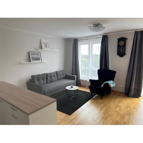 White&Sunny Apartment