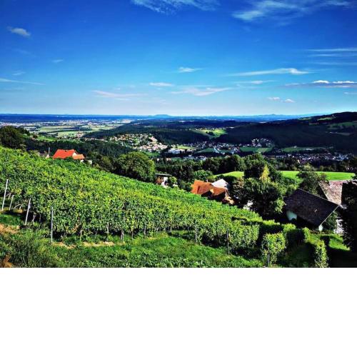 WIEDNERMICHL - Urlaub in den Weinbergen