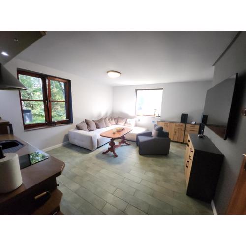 Wilcza Poręba Apartament