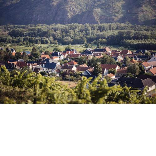 Winzerhof Supperer