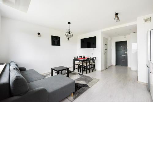 Witolińska White & Black Apartment