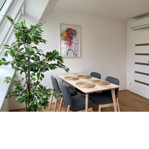 Wohnen beim Hundertwasserhaus l HG23