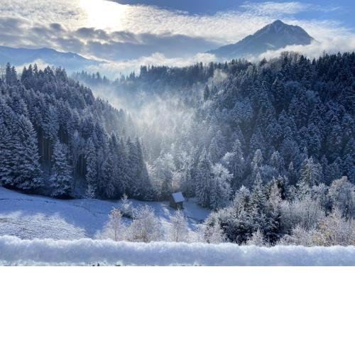 Wohnung Staufenblick und Wohnung Firstblick