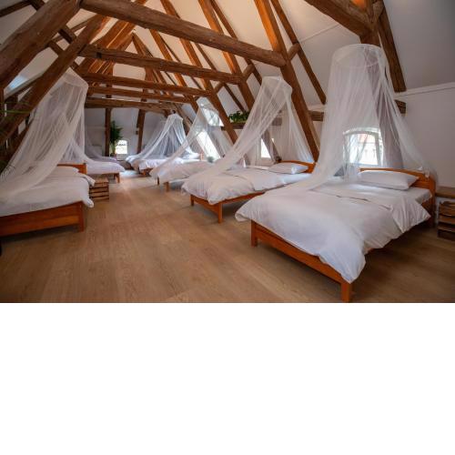 Women's Only Hostel - Female Only
