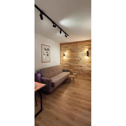 Wooden Dream with Terrace
