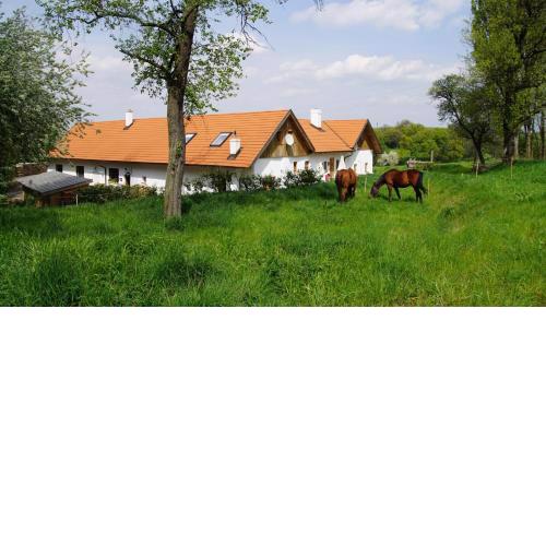 wundervoll eben - CHALETS & PLÄTZE voller WUNDER - NOTSCHKERL & FEINIS