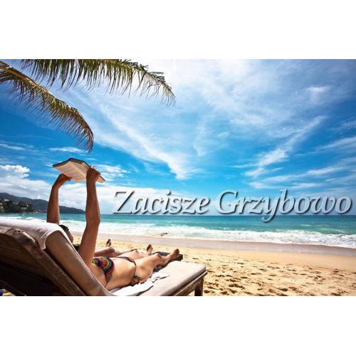 Zacisze Grzybowo