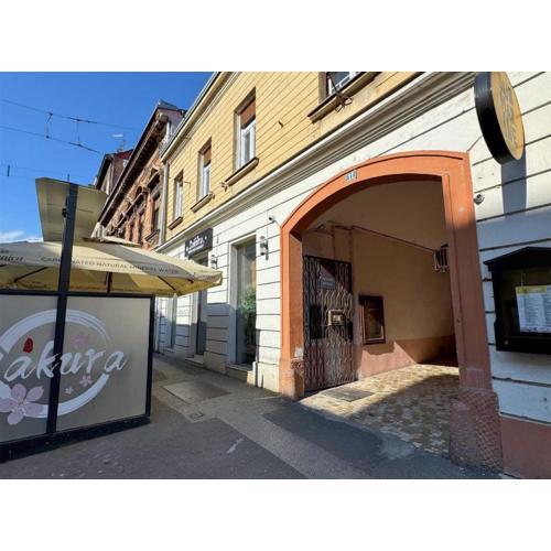 Zagreb Downtown Apartment