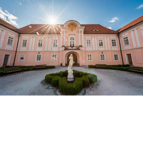Zamek Hradek u Susice
