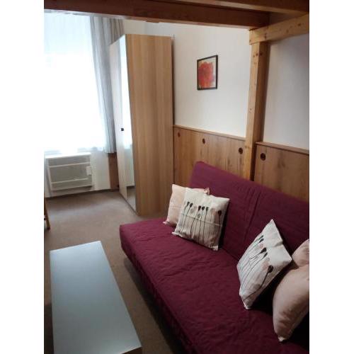 Žižkov 1 - small, cozy and modern apartment