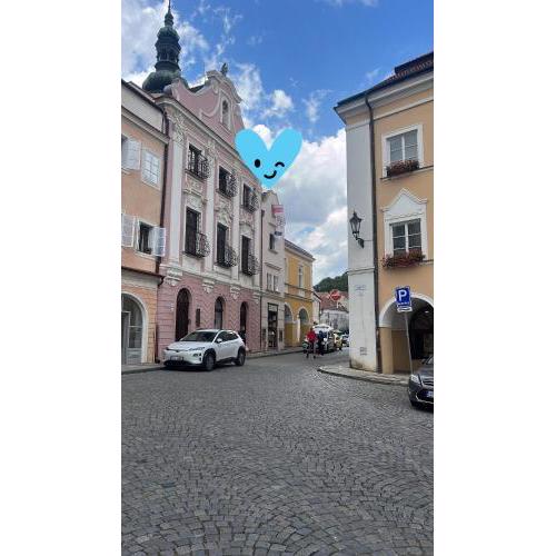 ZMRZLINOVÝ DOMEČEK (Ice cream housei)