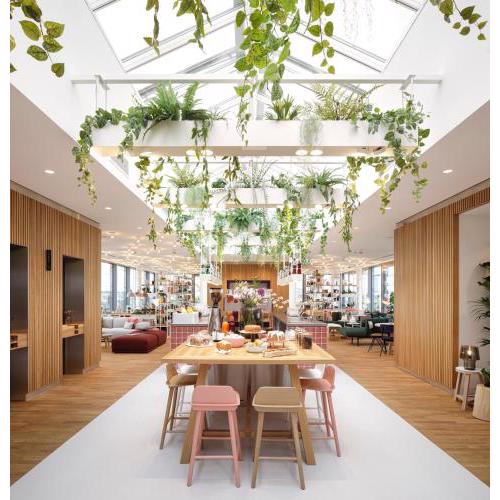 Zoku Vienna