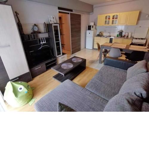 Zöld Béka Apartmanok Kölcsey I