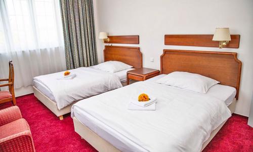 Hotel S-centrum Děčín **** s raňajkami/polpenziou, relaxáciou v saune a vstupenkami na zámok a do zoo + sekt