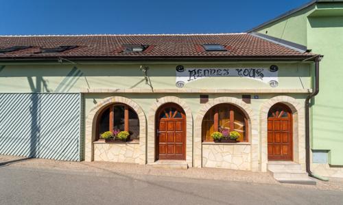 Južná Morava: Pobyt blízko pamiatok v Penzióne Rendezvous s raňajkami alebo polpenziou a welcome drinkom