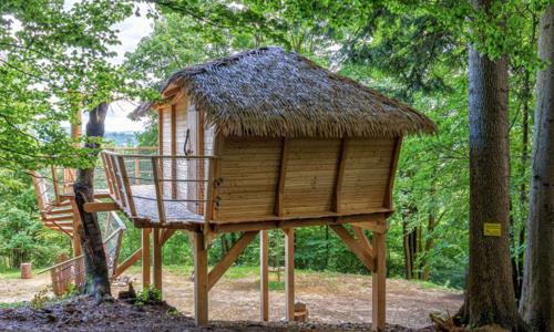 Kysuce v domčeku na strome v Resorte Husárik s raňajkami, welcome drinkom a vstupom do wellness s bazénom