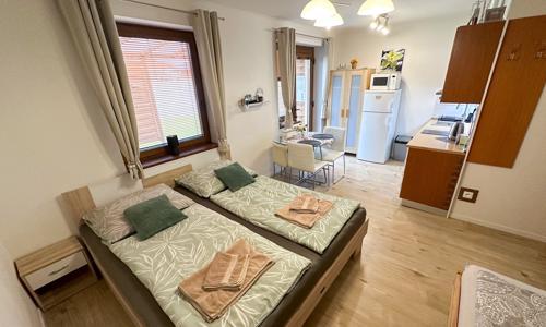 Nesvady len 750 m od termálov: Apartmán Losonci so zľavou na vstup do kúpeľov + zapožičanie bicyklov a hry