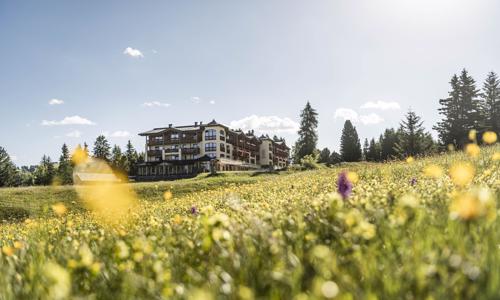 Seiser Alm a Dolomity v Hoteli Steger-Dellai **** s polpenziou a luxusným wellness centrom + detské ihrisko 