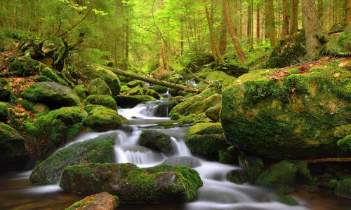 Šumava neďaleko Boubínského pralesa a prírodných parkov v Penzióne Pod pralesem s polpenziou a detským kútikom