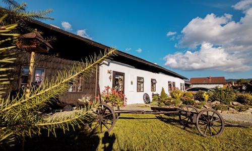 Šumava pri skiareáloch: Penzión Sněžná v štýlových izbách s raňajkami/polpenziou + chladnička a kanvica