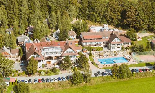 Vysočina: Hotel Podlesí *** pri Rozprávkovej dedinke s polpenziou + bazén a vstup do wellness (vírivky, sauny)