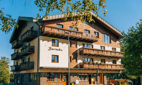 Vysoké Tatry 1 km od lanovky na Lomnický štít vo Vile Borievka *** s darčekom + dieťa do 6 rokov zdarma