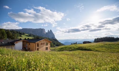 Wellness pobyt v Južnom Tirolsku: Seiser Alm v Hoteli Seelaus **** s polpenziou, krytým bazénom a 2 saunami